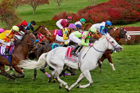 Keeneland Race Course - In the Paddock