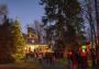 Henry Clay Estate Tree Lighting